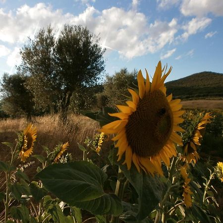 Tavernelle  I Casali Di Colle San Paoloヴィラ エクステリア 写真